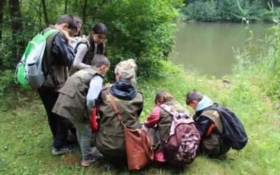 Naturaktionstag im Naturparks Unteres Saaletal
