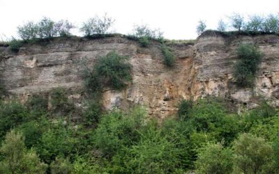 NSG Muschelkalkhänge der Nietleben-Bennstedter Mulde
