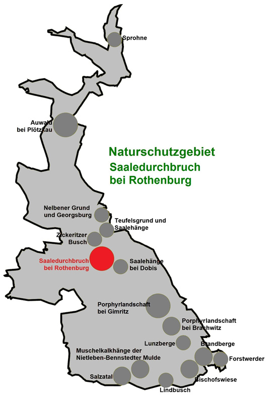 NSG Saaledurchbruch bei Rothenburg NSG Saaledurchbruch bei Rothenburg