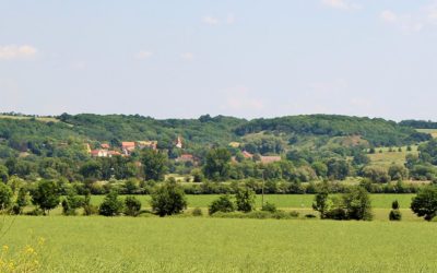 NSG Saalehänge bei Dobis