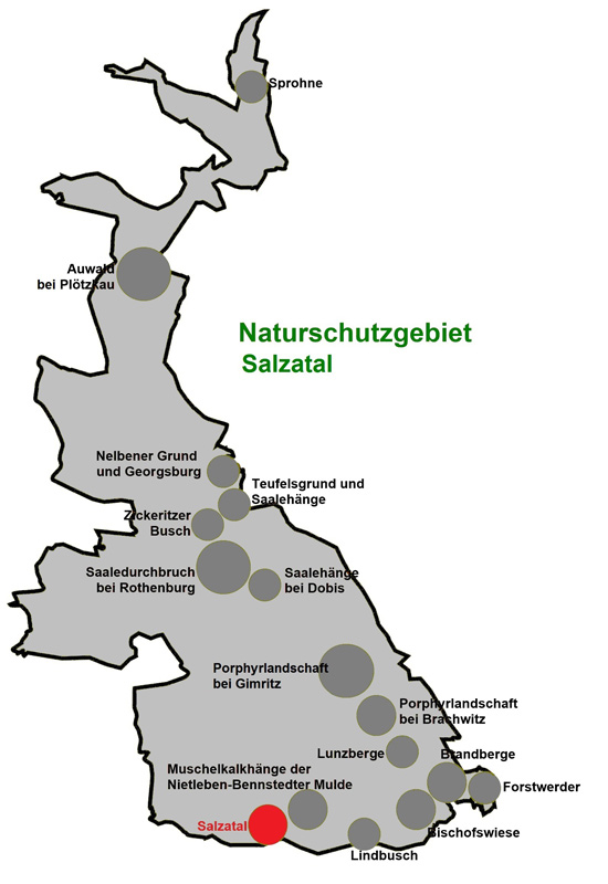 NSG Salzatal NSG Salzatal