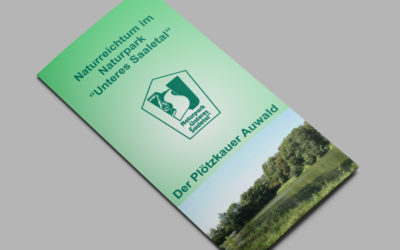 Der Plötzkauer Auwald