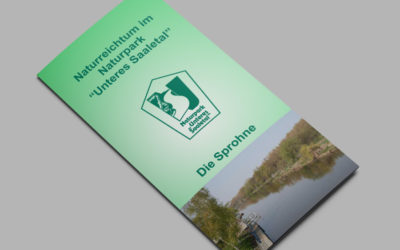 Die Sprohne