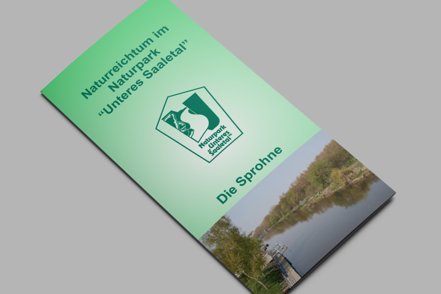 Flyer: Die Sprohne