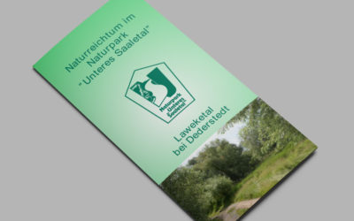 Laweketal bei Dederstedt