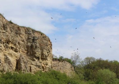 Muschelkalksteinbruch im Jugendcamp in Köllme