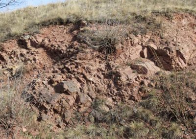Porphyrfelsen bei Mücheln