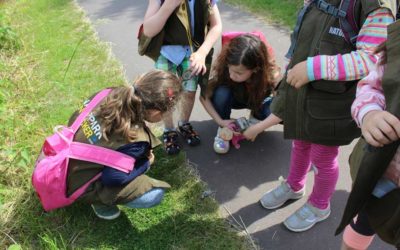 Entdeckerwesten-Wanderung mit einer Kindergartengruppe der Kita Nesthäkchen