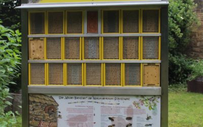 Projekte zum Erhalt der Biodiversität im Naturpark Unteres Saaletal in der Gemeinde Salzatal
