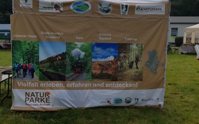 Salzlandradeltag in Ilberstedt
