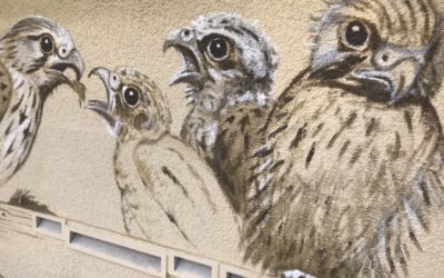 Update Trafoturm Wils