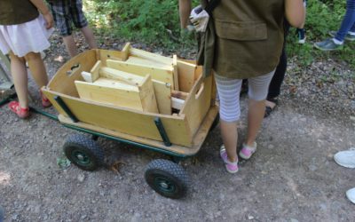 Fledermauskästen für den Auwald Plötzkau