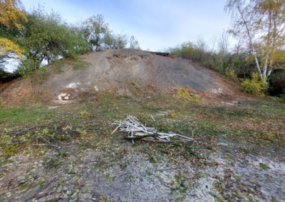 Entbuschung der Halde „Schacht König Georg“