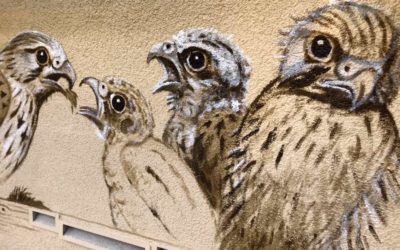 Die ersten „Stelen der Biodiversität“ für Sachsen-Anhalt in Zellewitz und Wils