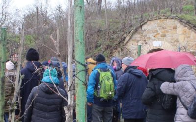 Gemeinschaftliche Winterwanderung vom Naturpark Unteres Saaletal und Heimatmuseum Zappendorf