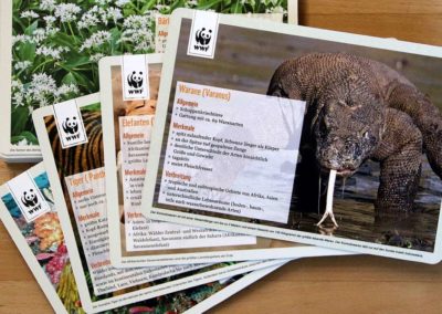 WWF-Artenschutzkoffer für die Bildungsarbeit des Naturparks Unteres Saaletal