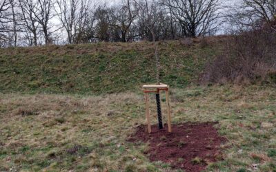Fällung abgestorbener Pappeln und Nachpflanzung am Naturlehrpfad Porphyrlandschaft Wettin/Gimritz