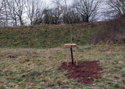 Fällung abgestorbener Pappeln und Nachpflanzung am Naturlehrpfad Porphyrlandschaft Wettin/Gimritz