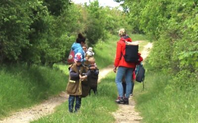 Kleine Frühjahrswanderung in Müllerdorf