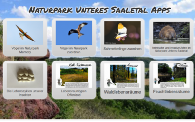 Spielesammlung auf LearningApps.org