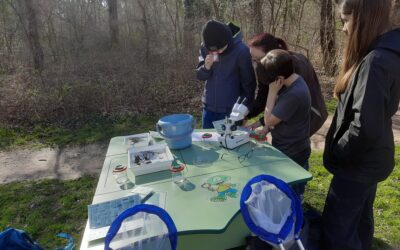 Das Mobile Wald- und Gewässerlabor