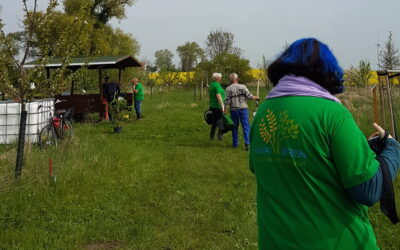 MDR Beitrag zur Streuobstwiese in Pobzig