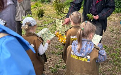 Kleine Frühjahrswanderung in Müllerdorf