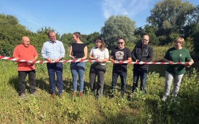 Frisches Wasser belebt wieder verbundenen Saale-Altarm