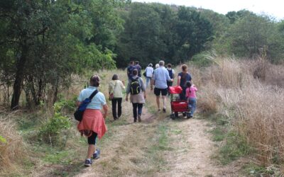 Naturparkwanderung zum Rothenburger Sommerausklang