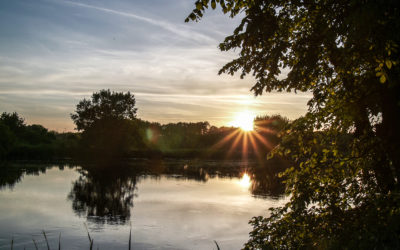 Mitarbeit in der nun-Kommission Sachsen-Anhalt