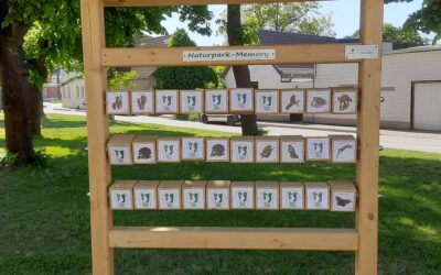 Naturpark – Memory in Ilberstedt