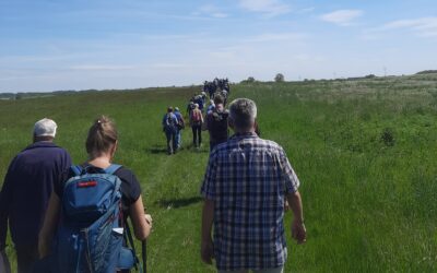 Frühjahrswanderung im Naturpark Unteres Saaletal – Kunst, Kultur und viel Natur vor den Toren der Stadt Halle