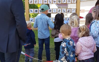Naturpark – Spiel in Ilberstedt
