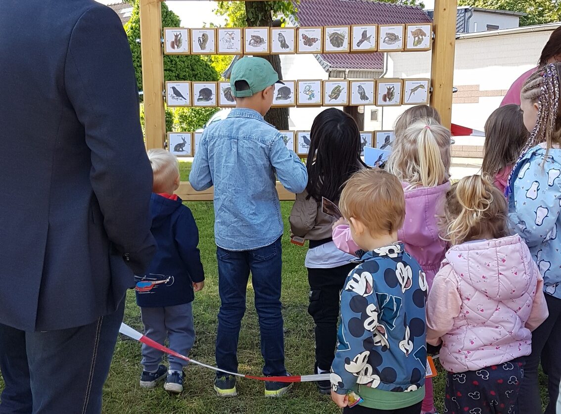 Kinder der Kita Pusteblume am Naturpark-Spiel