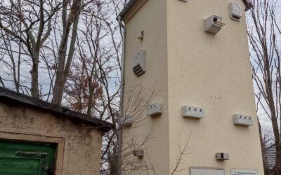 Trafoturm Rothenburg/Saale wird Artenschutzturm