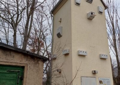 Trafoturm Rothenburg/Saale wird Artenschutzturm