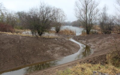 Verbindung zwischen zwei Saalealtarmen zur Wiederherstellung eines Wasseraustausches