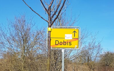 Pflanzschnitt von 70 Apfel- und Birnenbäumen in Dobis