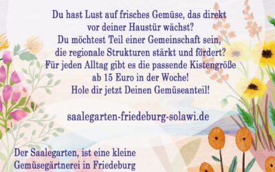 Saalegarten Friedeburg – frisches, regionales Gemüse