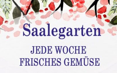 Saalegarten Friedeburg – frisches, regionales Gemüse