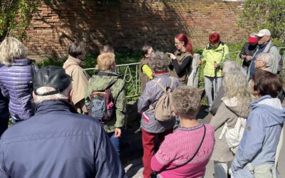 Kleine Frühjahrswanderung in Müllerdorf