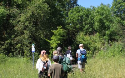 Wanderung zwischen Wörmlitz und Beesen zum „Langen Tag der Stadtnatur“ in Halle