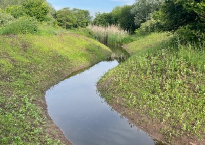 Verbindung zwischen zwei Saalealtarmen zur Wiederherstellung eines Wasseraustausches